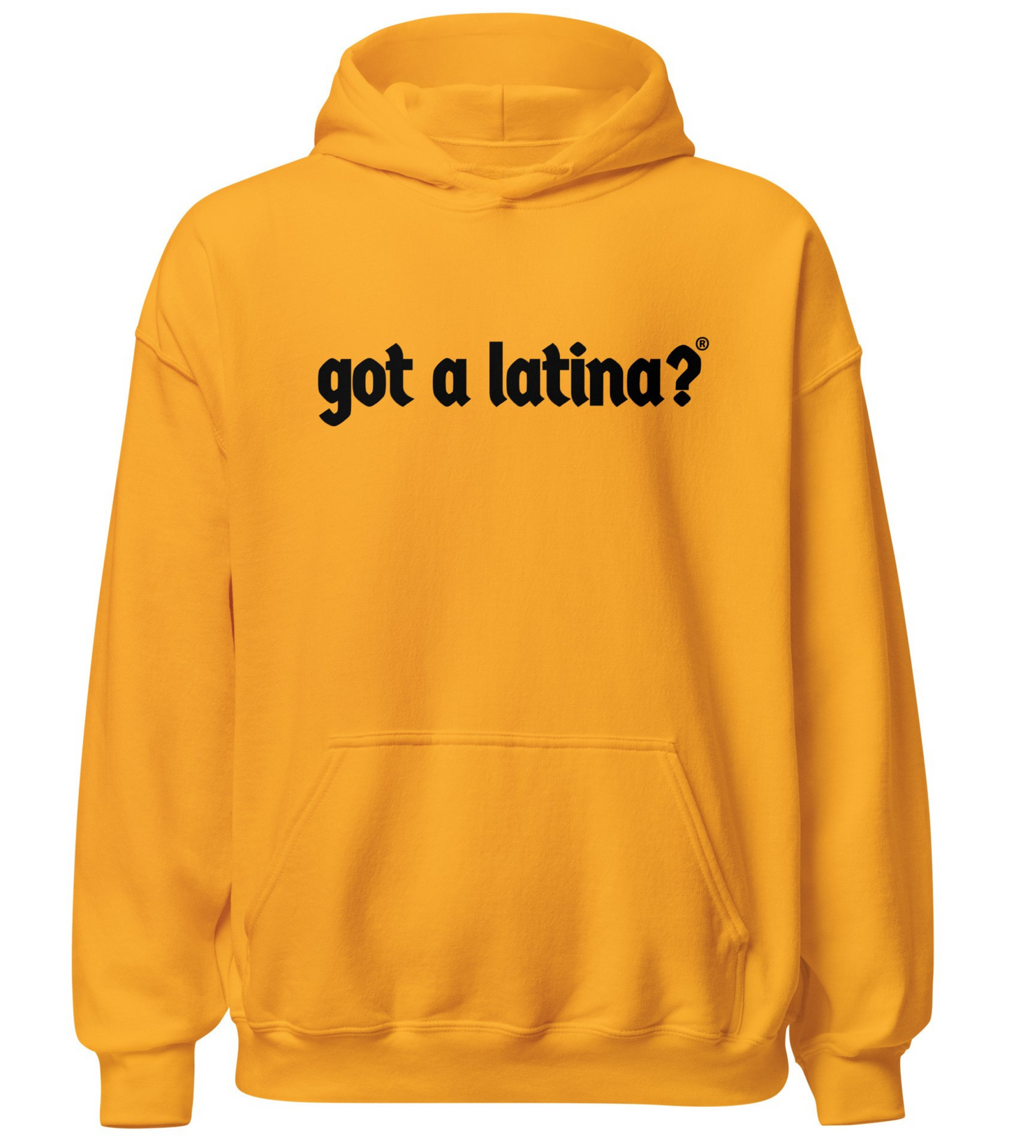 Empowering Latina Pride hoodie by Got a Latina?® apparel brand