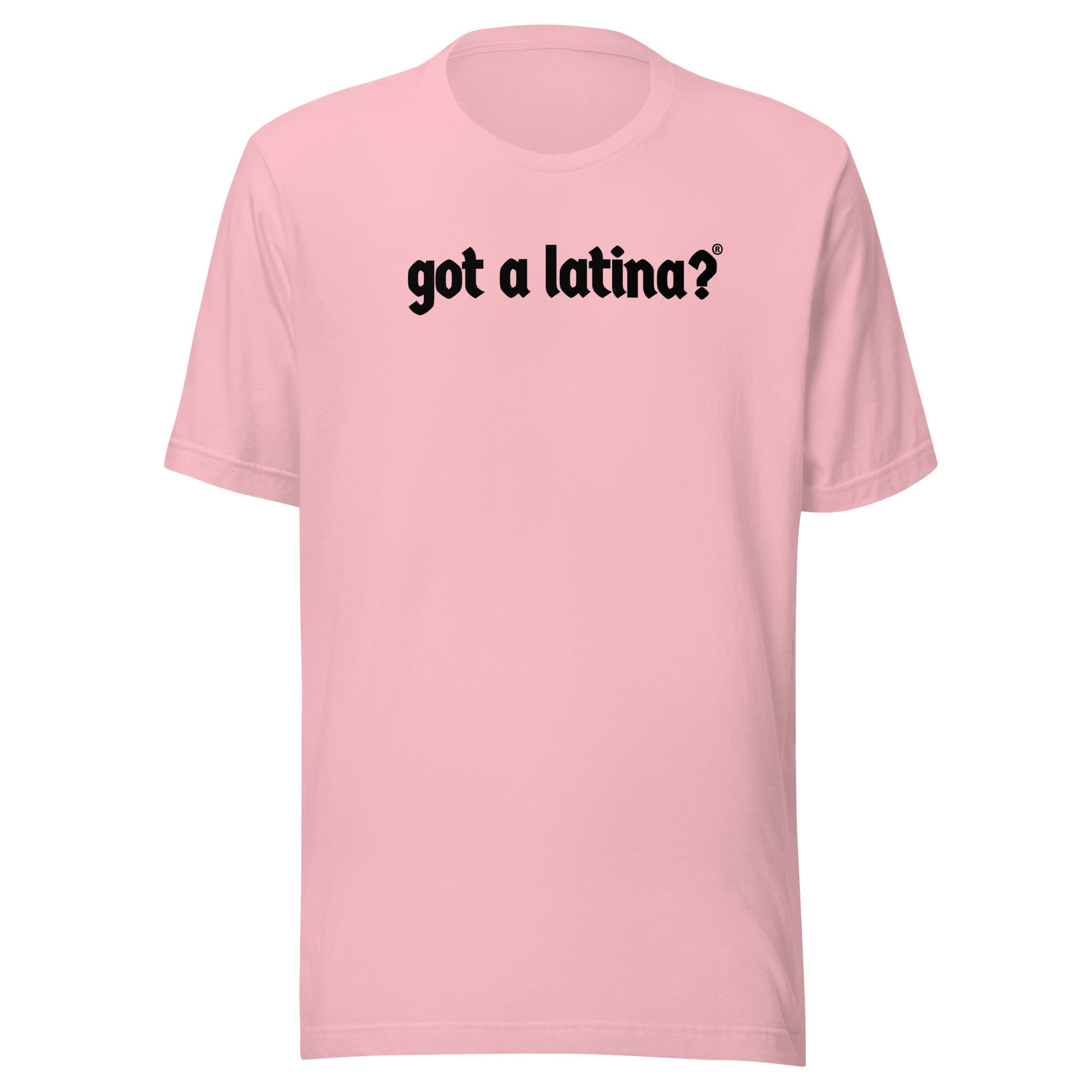 Got a Latina? diversity shirt representing Latina visibility