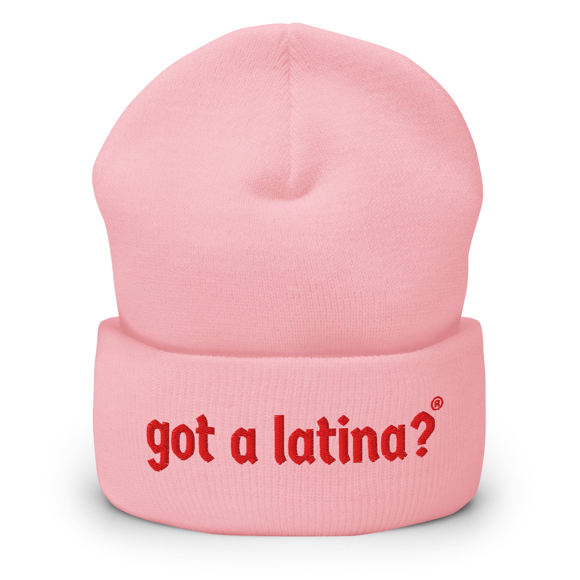 Diversity, Equity, Inclusion beanie for Latina Feminist