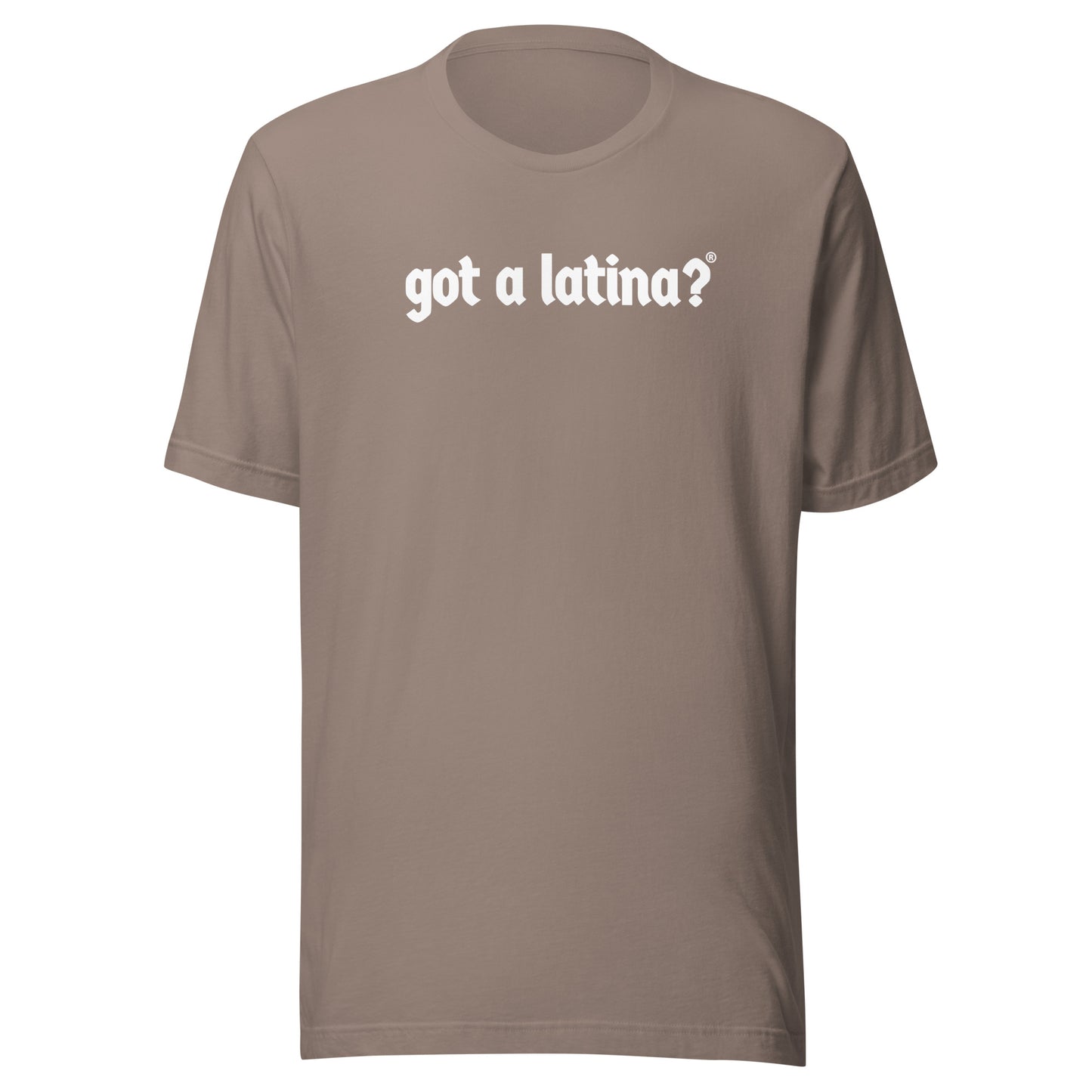 Got a Latina? Diversity Shirt