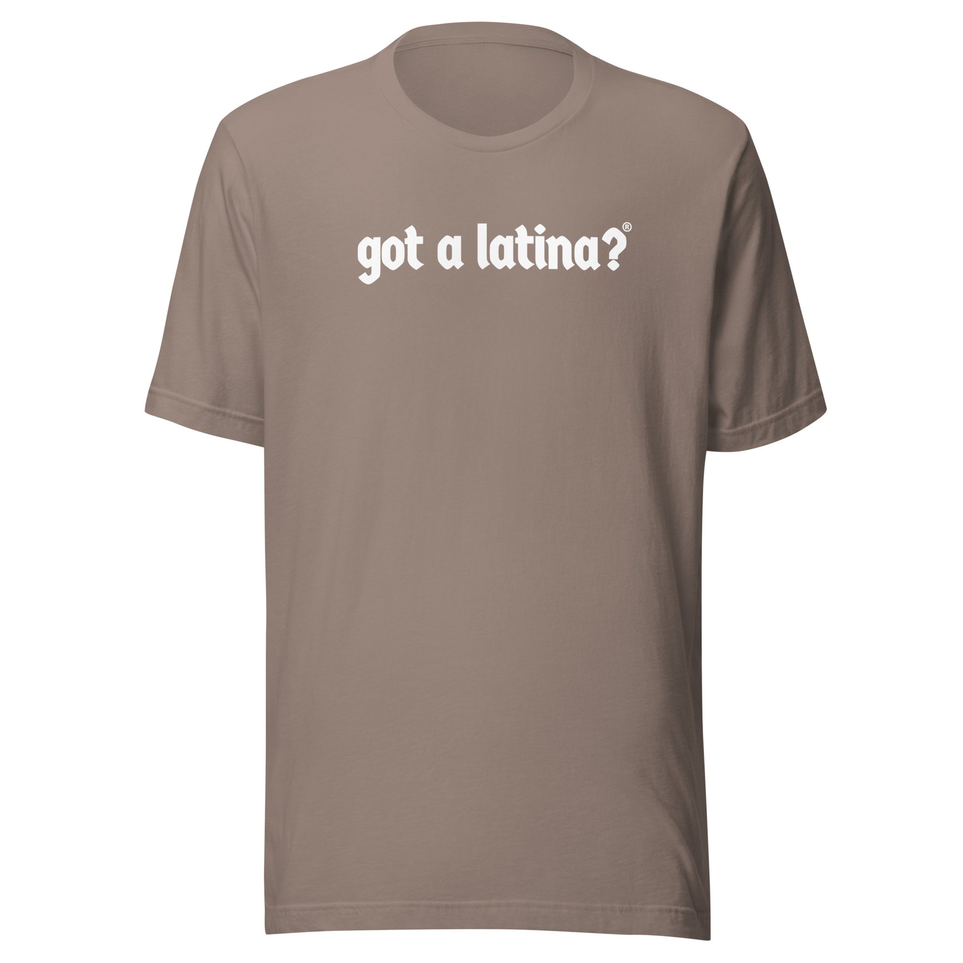 Got a Latina? Diversity Shirt