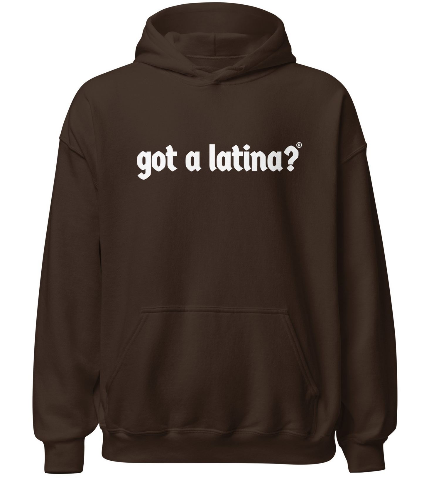 Empowering hoodie from Got a Latina?® celebrating cultura and pride
