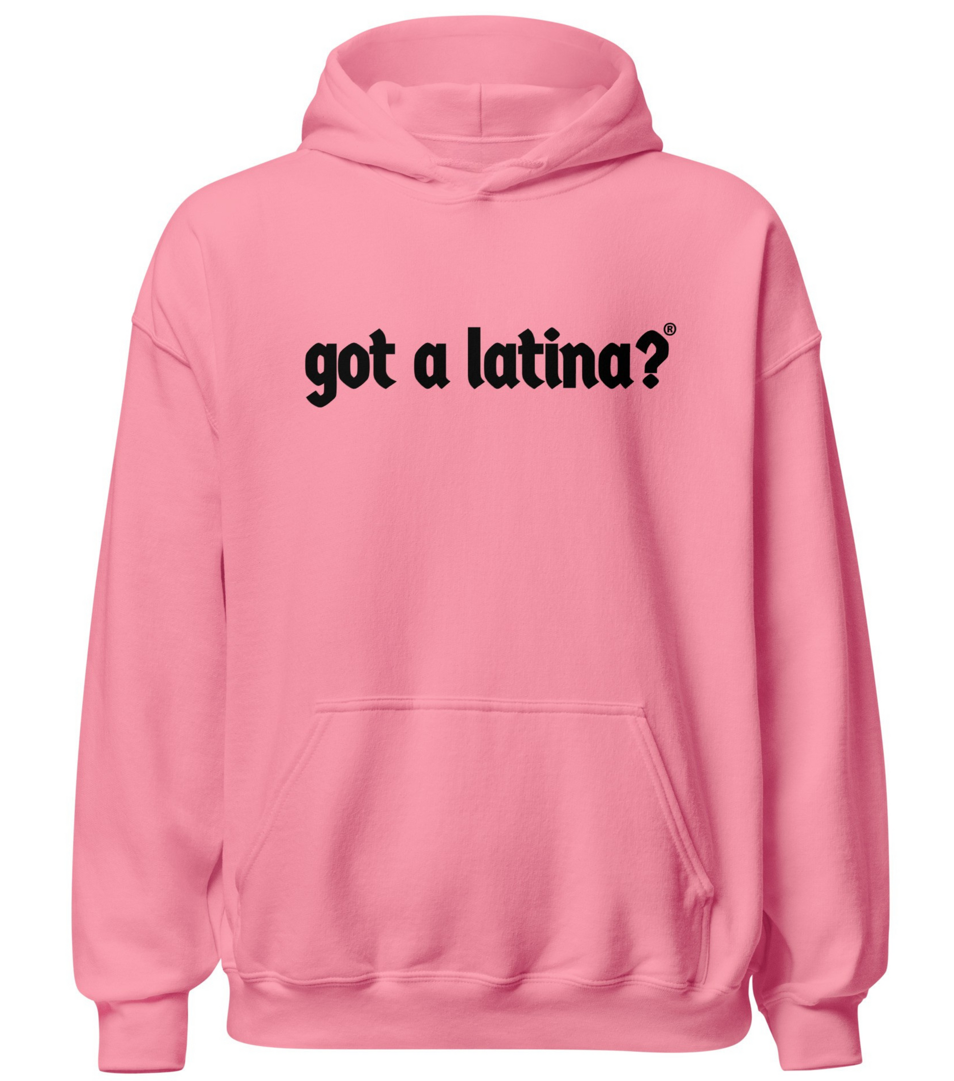 Latina-owned apparel Got a Latina?® hoodie visibility pullover