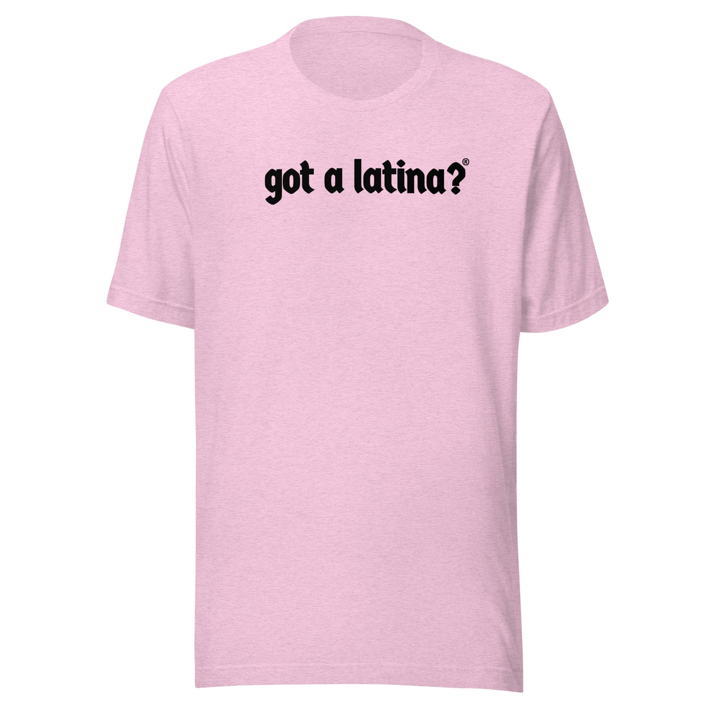 Got a Latina? diversity shirt celebrating Latina culture and strength
