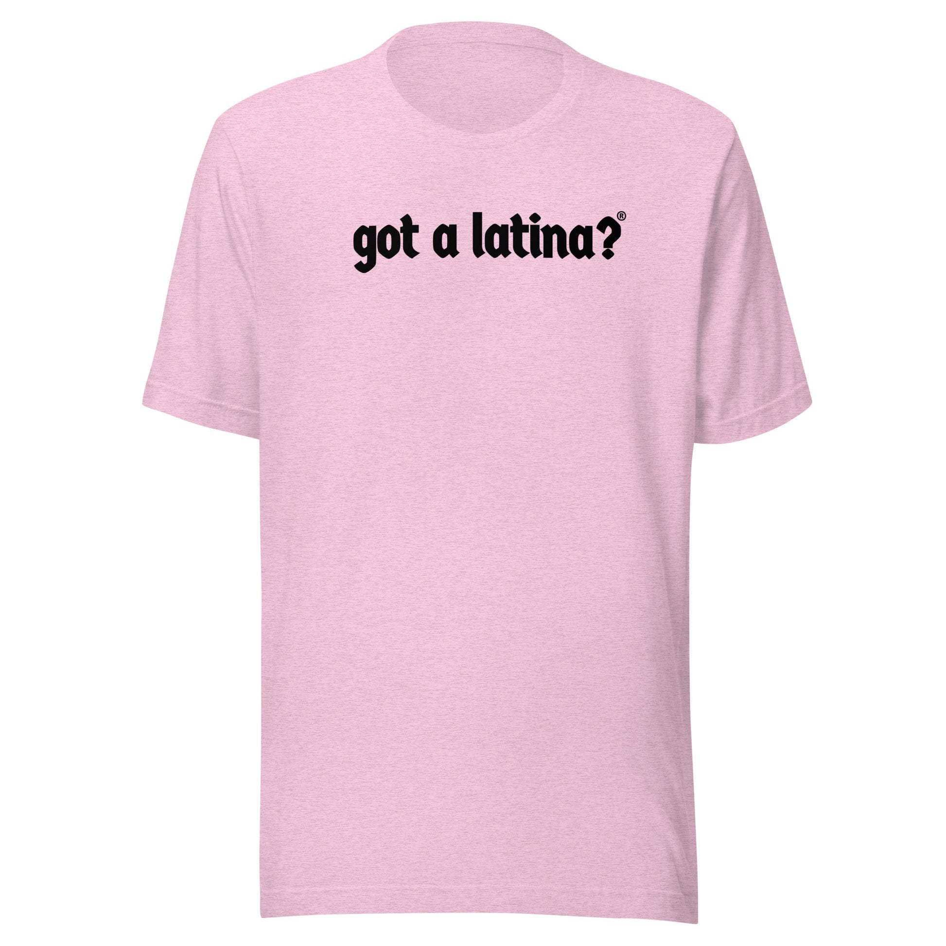 Got a Latina? diversity shirt celebrating Latina culture and strength