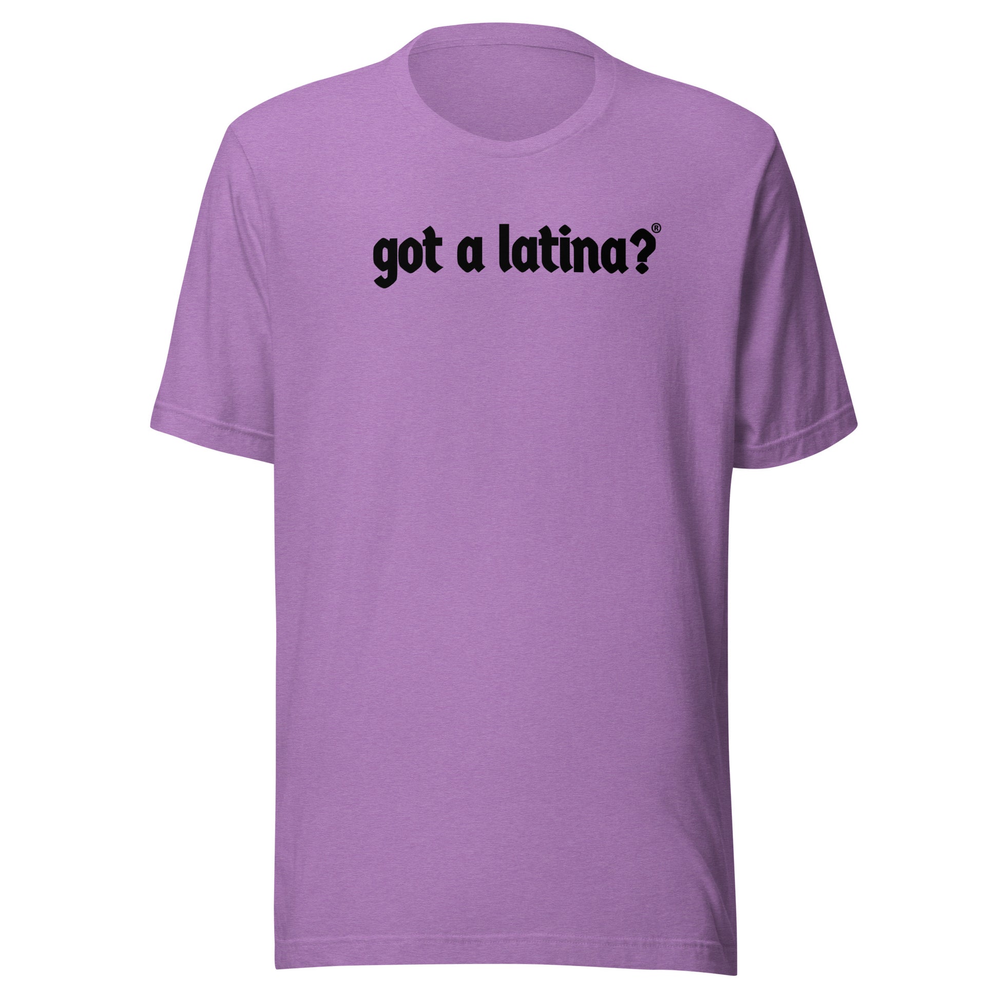 Got a Latina? inclusive pride shirt representing Latina diversity
