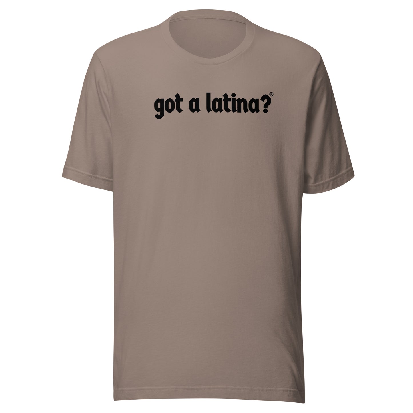 Got a Latina? empowerment shirt celebrating hispanic heritage
