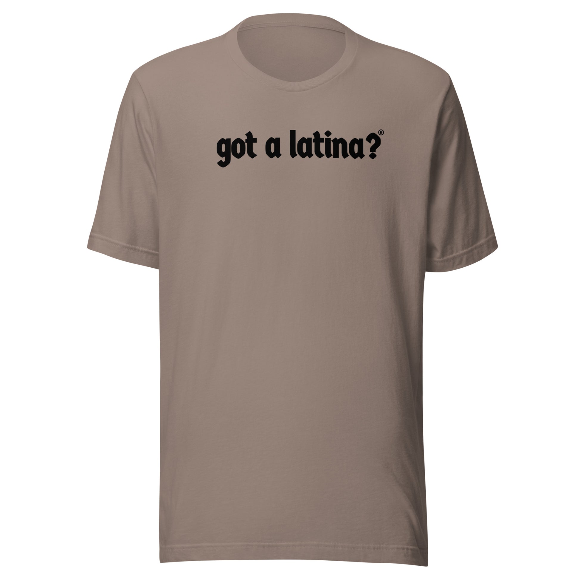 Got a Latina? empowerment shirt celebrating hispanic heritage