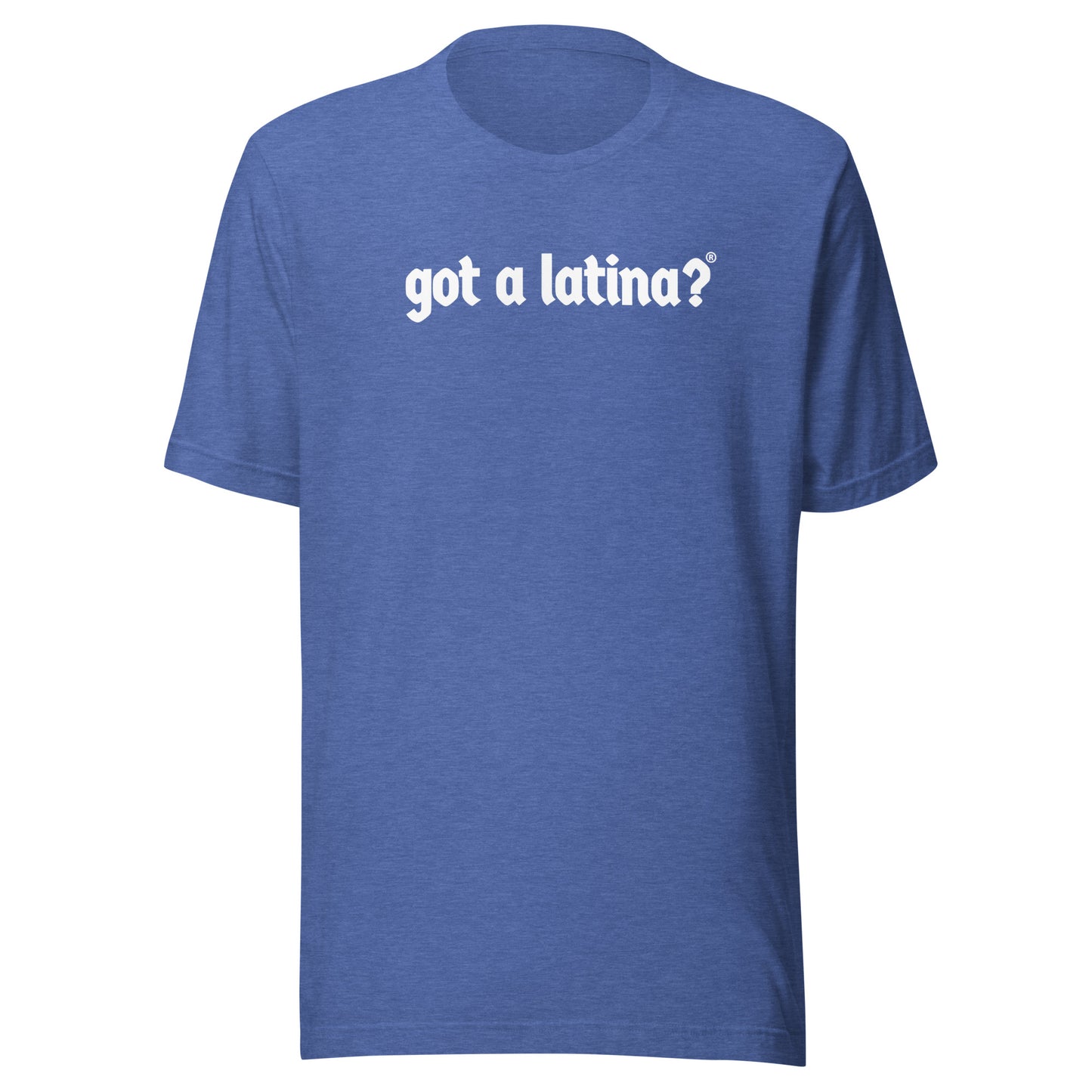 Got a Latina? Diversity Inclusion Shirt
