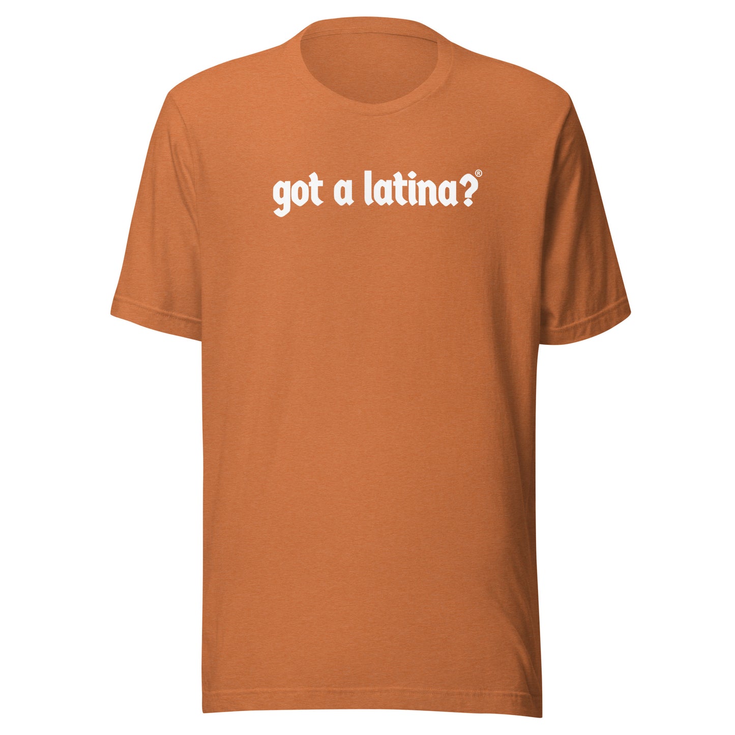 Got a Latina? Feminist Shirt